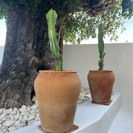 Lalola - Casa Privada *