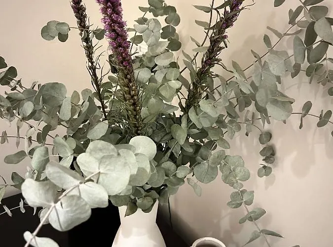 Lalola - Casa Privada Dénia